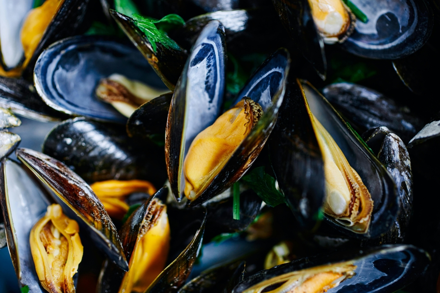 Steamed open mussels with tender meat as seafood buffet options at CHINA BUFFET, a Buffet Restaurant in Jacksonville